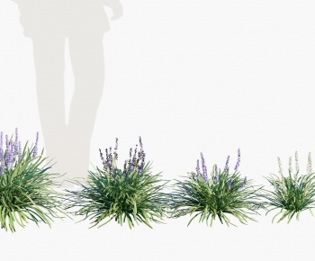 Modern Flowers And Grass-ID:857059962