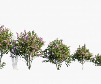 Modern Tree-ID:723290485