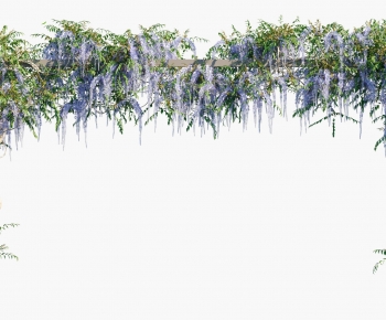 Modern Vine-ID:333569056