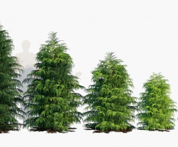 Modern Shrubbery-ID:831661944