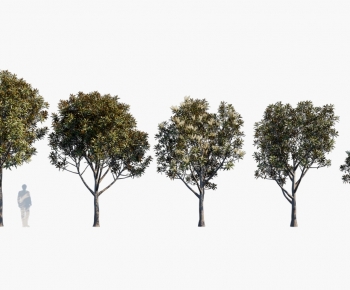 Modern Tree-ID:390826945