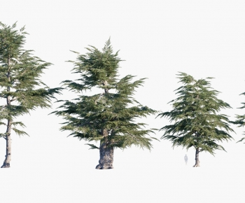 Modern Tree-ID:717591059