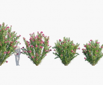 Modern Shrubbery-ID:903403048