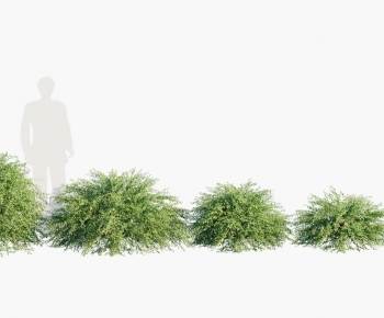 现代灌木绿植组合-ID:585954906