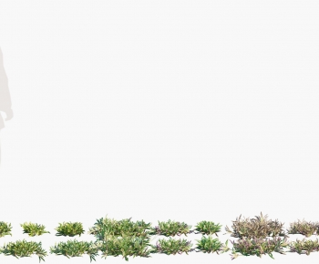 Modern The Grass-ID:521284109