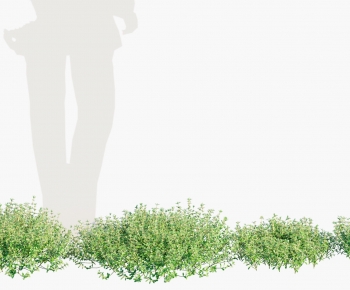 Modern The Grass-ID:889928107