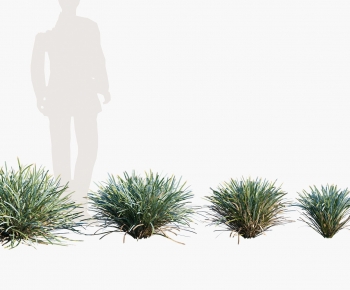 Modern The Grass-ID:109344019