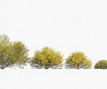 Modern Tree-ID:135732892