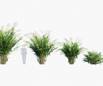 Modern The Grass-ID:664798977