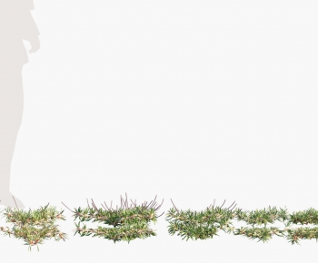 Modern The Grass-ID:154334074