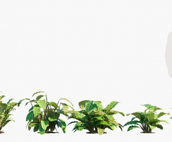 Modern Plant-ID:686217074