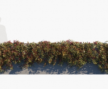 Modern Vine-ID:395951036