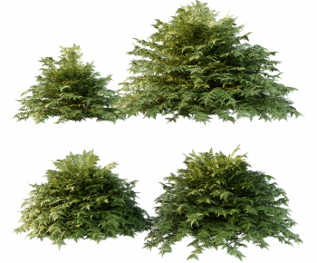 Modern Shrubbery-ID:777637962