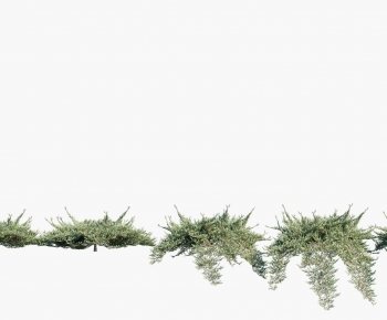 Modern The Grass-ID:980528122