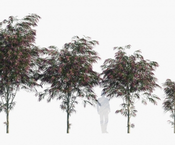 Modern Tree-ID:607898002