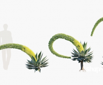 Modern Plant-ID:590475087