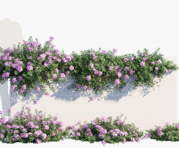 Modern Shrubbery-ID:670882947