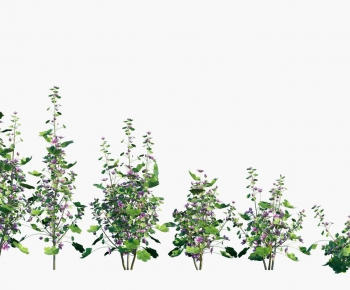 Modern Flowers And Grass-ID:747818954