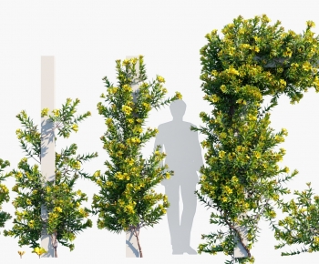 Modern Vine-ID:235459885