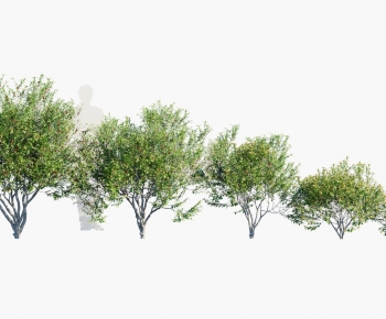 Modern Tree-ID:684037923