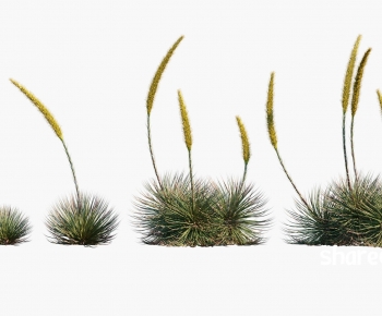 Modern Plant-ID:978154907