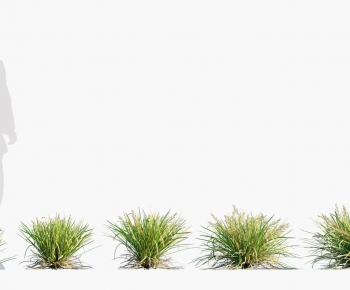 Modern The Grass-ID:178170927