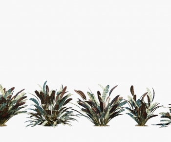 Modern Plant-ID:627861089