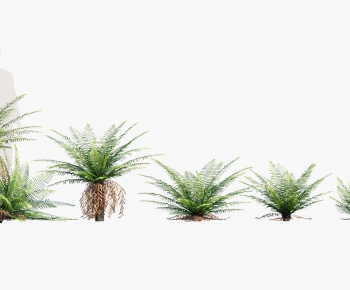 Modern The Grass-ID:766400107