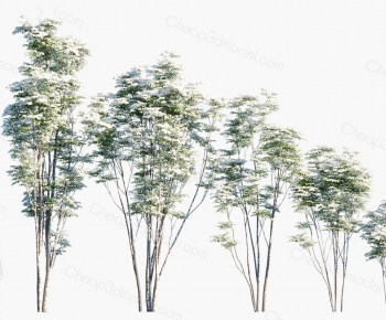 Modern Tree-ID:302087074