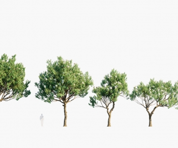 Modern Tree-ID:797756915