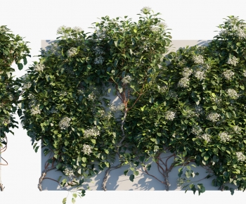 Modern Vine-ID:995146991