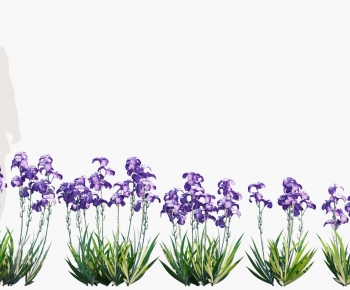 Modern Flowers And Grass-ID:177361972