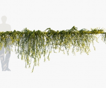 Modern Vine-ID:553282028