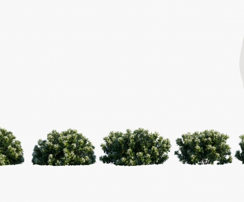 Modern Shrubbery-ID:743140948