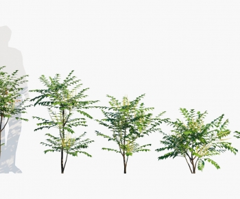 Modern Plant-ID:282887943