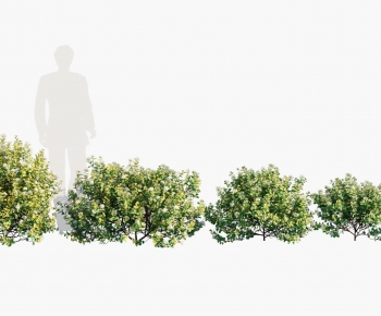 Modern Shrubbery-ID:701838025