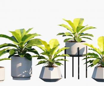 Modern Ground Green Plant Potted Plants-ID:456801893