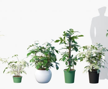 Modern Ground Green Plant Potted Plants-ID:566586029