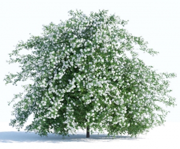 Modern Shrubbery-ID:544315106