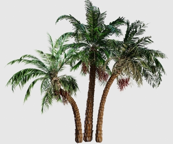 Modern Tree-ID:593447926