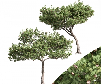 Modern Tree-ID:367830995