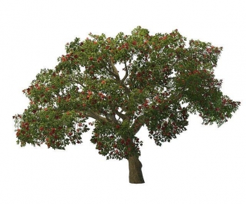 Modern Tree-ID:435632943