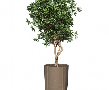 Modern Ground Green Plant Potted Plants-ID:104402075