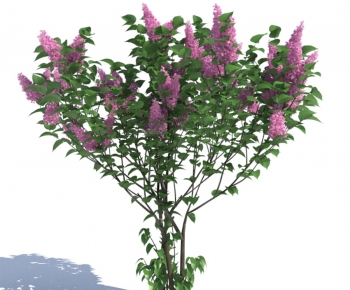 Modern Flowers And Grass-ID:836633926