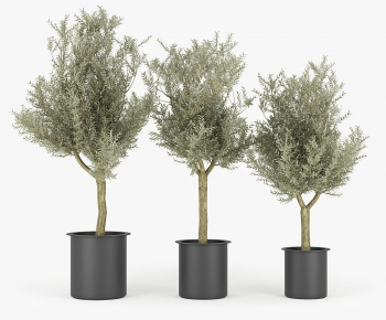 Modern Ground Green Plant Potted Plants-ID:627748015