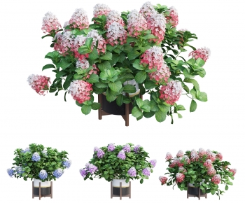 Modern Flowers And Grass-ID:337336068