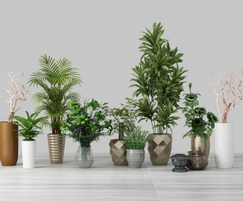 Modern Potted Green Plant-ID:479456909