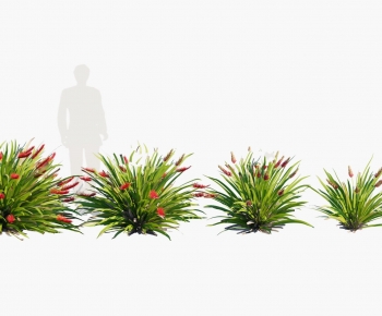 Modern Flowers And Grass-ID:363659914