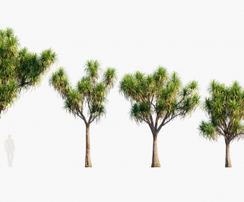 Modern Tree-ID:744359537