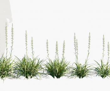 Modern Flowers And Grass-ID:629281045